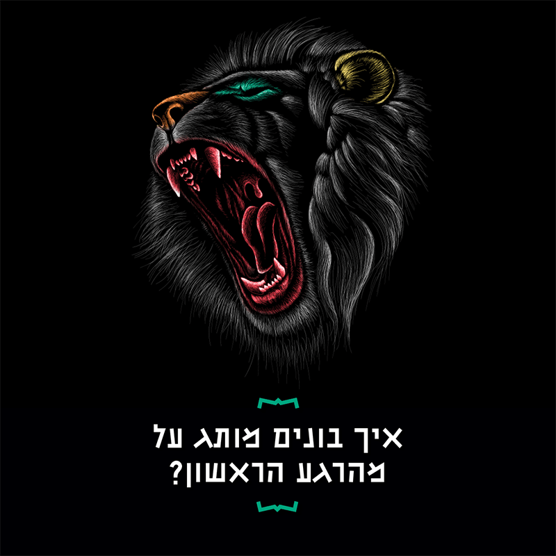 LIONS BAND - מועדון להקת האריות - העסקים הנועזים