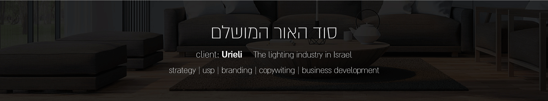 אינסטגרם הדמיות הצגת המותג אתר1 02
