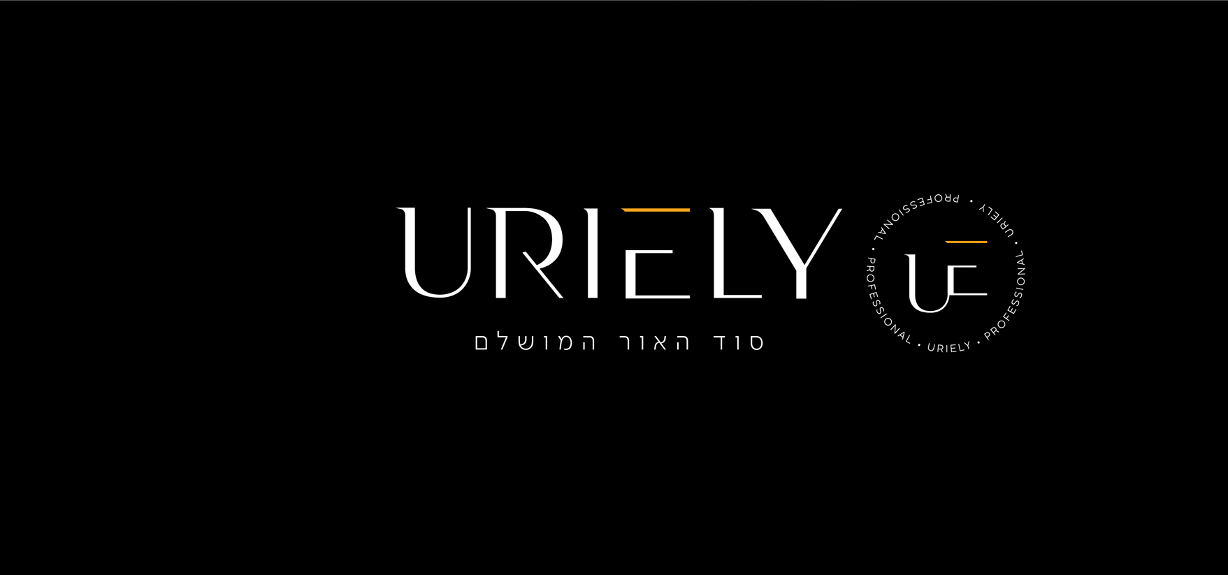 אינסטגרם הדמיות הצגת המותג אתר1 04
